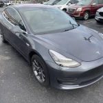 2018 Tesla Model 3 (3,000 DWN) Michael 407-733-1119