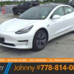 2019 Tesla MODEL 3 Standard Range Sedan | Low KMs Local No Accidents